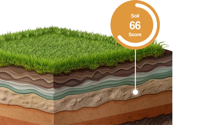 Soil Score